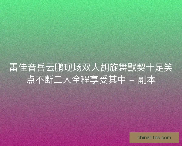 雷佳音岳云鹏现场双人胡旋舞默契十足笑点不断二人全程享受其中 - 副本