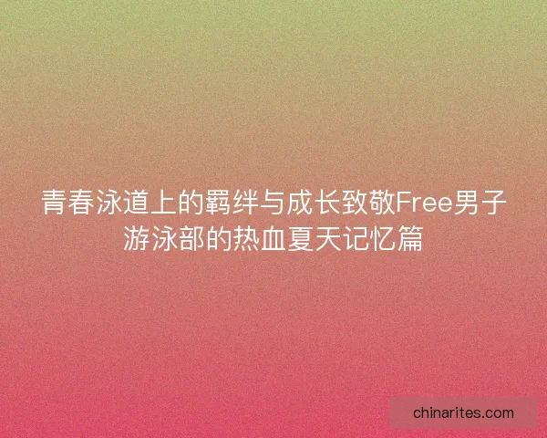青春泳道上的羁绊与成长致敬Free男子游泳部的热血夏天记忆篇