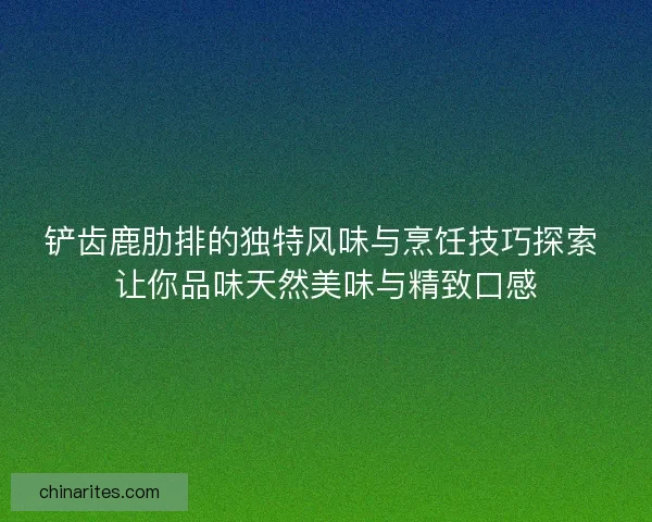 铲齿鹿肋排的独特风味与烹饪技巧探索 让你品味天然美味与精致口感