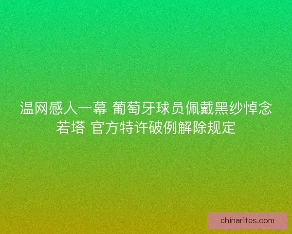 温网感人一幕 葡萄牙球员佩戴黑纱悼念若塔 官方特许破例解除规定