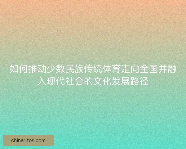 如何推动少数民族传统体育走向全国并融入现代社会的文化发展路径