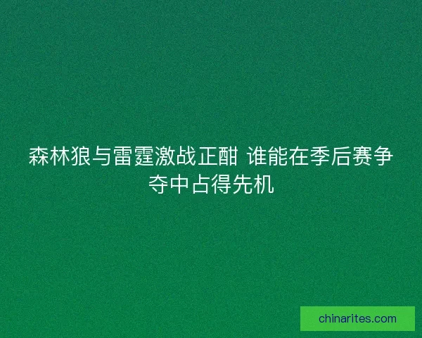 森林狼与雷霆激战正酣 谁能在季后赛争夺中占得先机